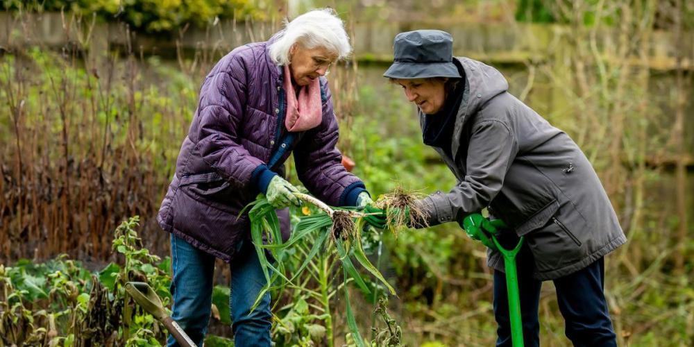 Twee oudere dames tuinieren